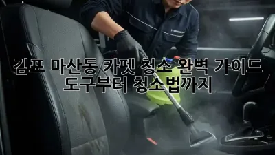 김포 마산동 카펫 청소 완벽 가이드: 도구부터 청소법까지!